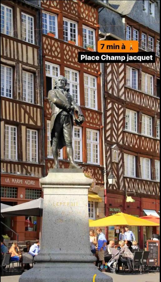 T2 Neuf En Plein Coeur De Rennes Au Bord De La Vilaine المظهر الخارجي الصورة